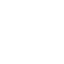Groupe Arcade - Logo Sony